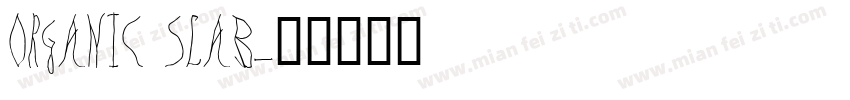 ORGANIC SLAB字体转换
